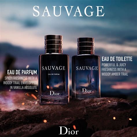 slogan dior 2021|sauvage dior symbolism.